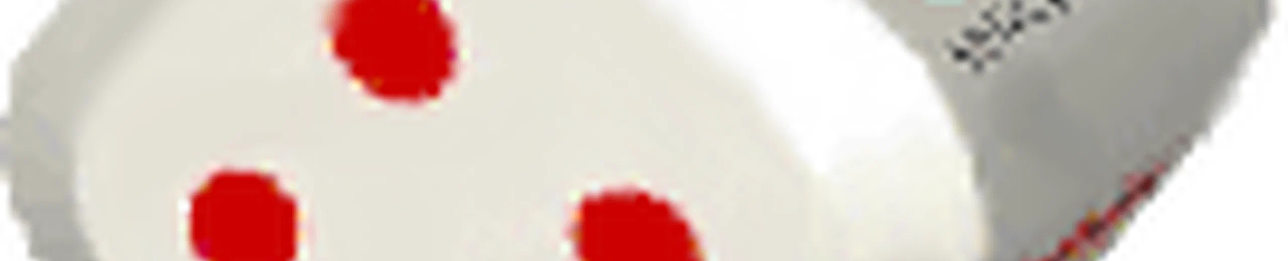 Désencyclopédie