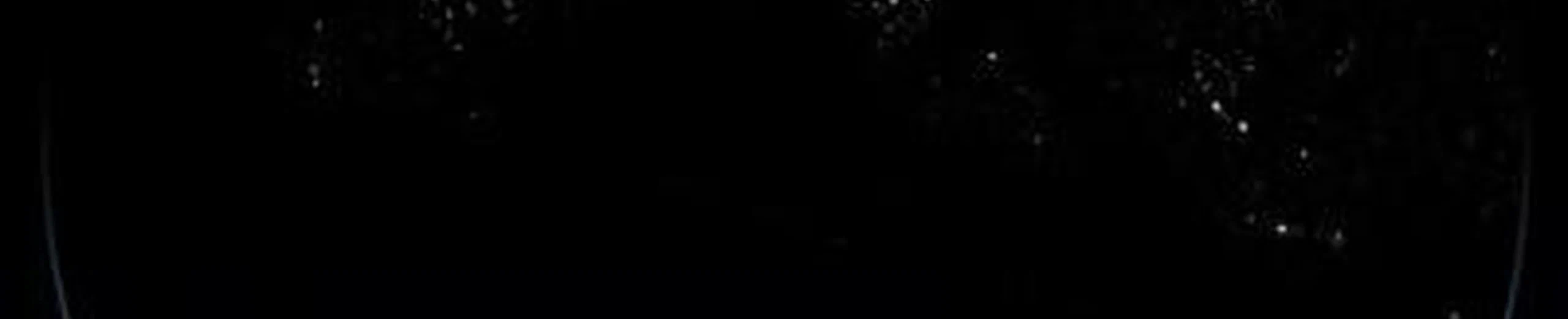 Terre by Night