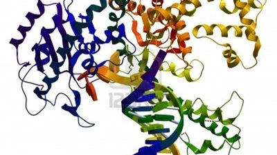 Réplication de l'ADN featured image