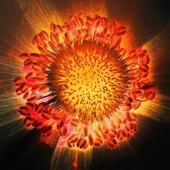 Big Bang par ToniVC sur flickr