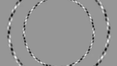 Cercles pas ronds featured image