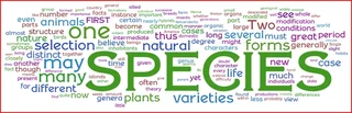 wordledarwin1