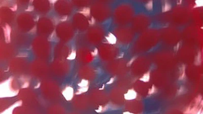 Le premier demi-vortex de l'Univers ? featured image