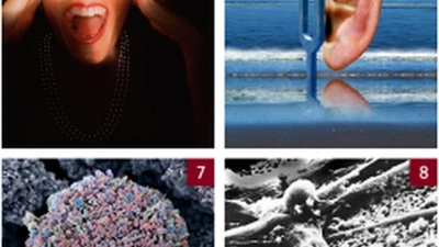 Quiz "Art of Science" featured image