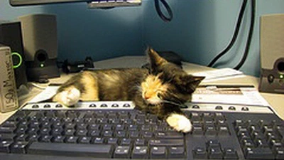 Le "Sleep sort" featured image