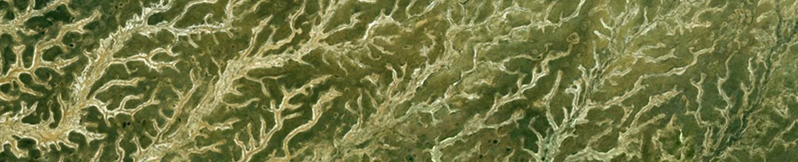 Fractales sur Google Earth