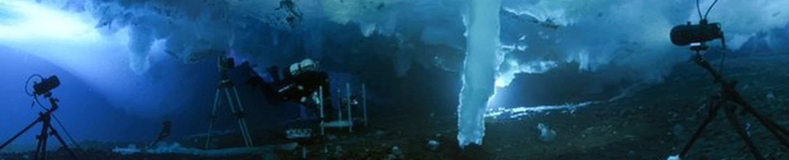 "Saumurite" de la mort filmée en Antarctique