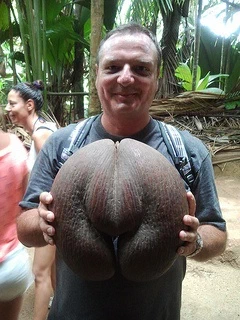 Dr. Goulu et la coco fesse (sur flickr)