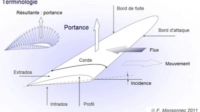 Portance : pourquoi ça vole ? featured image