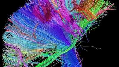 Rock et science featured image