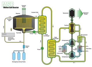 Schéma de principe d'un MSR à neutrons thermiques.
