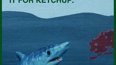 Les requins sont-ils attirés par le sang ? featured image