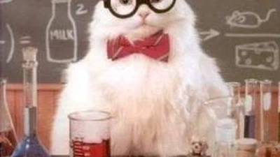 L'importance de la stupidité dans la recherche scientifique featured image