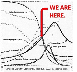 En 1972, les graphiques ressemblaient à ça... [[2]](#ref-2)