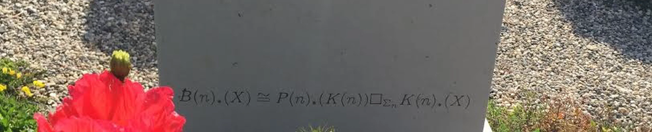 L'abstraction mathématique gravée dans le marbre