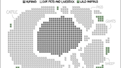 La mort de l'ours polaire featured image
