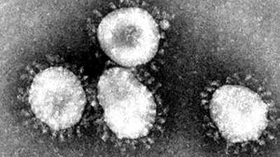 Pourquoi le coronavirus a-t-il cette forme de mine marine ? featured image