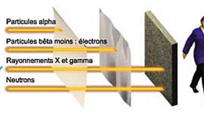 Quel type de désintégration radioactive, alpha, bêta ou gamma est le plus dangereux ? featured image