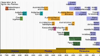 Quelle est l’espérance de vie de l’espèce humaine à l’heure actuelle ? featured image