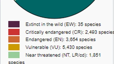 Quelles sont les espèces végétales qui subissent actuellement une extinction massive ? featured image