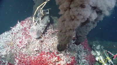 Pourquoi la lave existe si la vie dépend de l'eau ? Comment l'eau et la lave peuvent cohabiter ? featured image