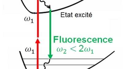 Pourquoi n'existe-t-il pas de matériau fluorescent qui fonctionnerait en transformant 2 photons infrarouges en un photon de lumière visible ? featured image