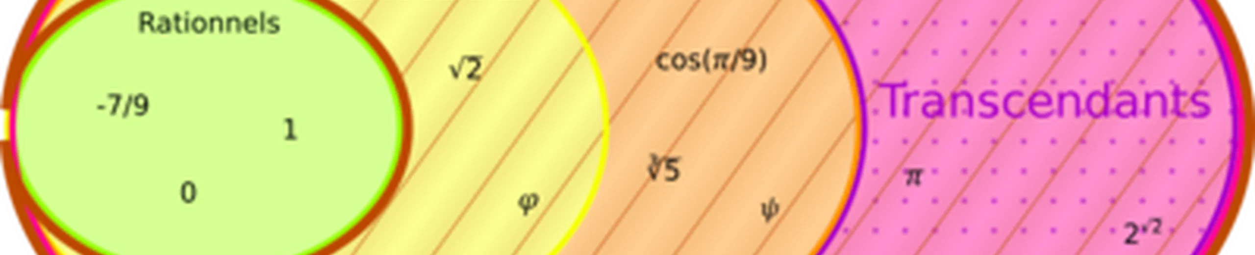 Les équations qui incluent des nombres transcendants, comme l'identité d'Euler par exemple, ont-elles un vraiment un sens ?