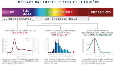 Est-ce que les lunettes de soleil régulières peuvent bloquer la lumière bleu provenant des écrans ? featured image