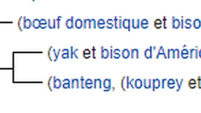 Quelle est la différence entre un bison et une vache ? featured image