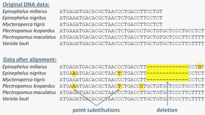 Comment la radioactivité peut-elle provoquer des mutations dans les êtres vivants? featured image