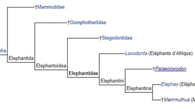 Quels sont les types d'éléphants qui ont disparu ? featured image