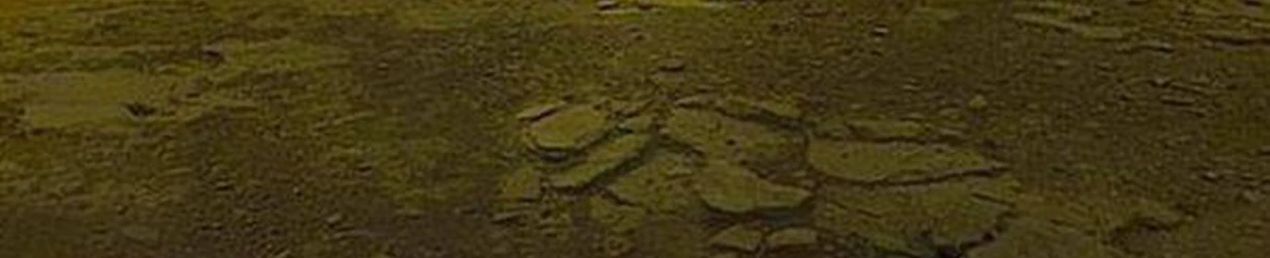 Quels dommages un aller-retour sur Vénus causerait-il à un être humain en termes de radiations et autres effets secondaires ? Un aller-retour vers Vénus serait-il même possible ?