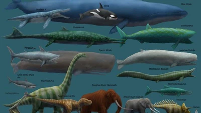 Comment la science explique-t-elle l'énorme différence de taille entre les dinosaures et les humains ? featured image