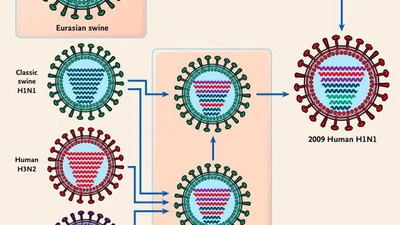 Est-ce que le Coronavirus disparaîtra comme la grippe espagnole ou persistera comme la grippe dite classique que l’on retrouve chaque hiver ? featured image