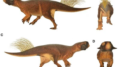 Connait-on la (ou les) couleur(s) des dinosaures ? featured image
