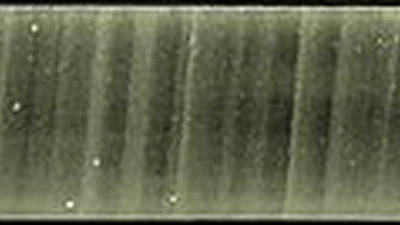 Comment les scientifiques savent-ils de quoi était composée l'atmosphère il y a 800 000 ans ? featured image