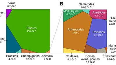 À partir de quelle période les dinosaures ont-ils commencé à dominer le monde ? featured image