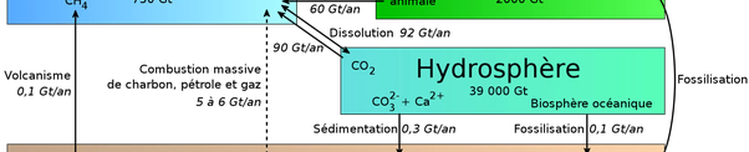 Pourquoi l'essentiel des politiques vertes se concentre-t-il sur le CO2 alors que l'on sait que celui-ci n'aura pas une influence majeure sur la catastrophe climatique qui s'est amorcée ?
