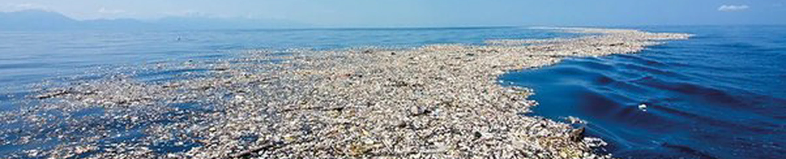 Pourquoi ne voit-on pas de photo d'avion ou de satellite depuis le ciel du 7e continent ? Les plastiques flottent et s'accumulent par les courants circulaires de l'océan Pacifique. De telles photos seraient éloquentes.