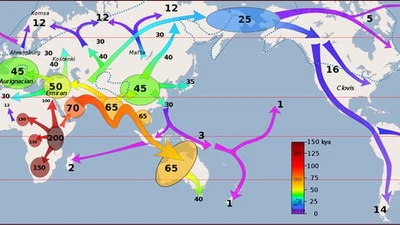 L'homme a-t-il évolué en Afrique seule ou est-ce arrivé en Amérique du Sud, en Australie et en Inde du Sud une autre preuve ? featured image