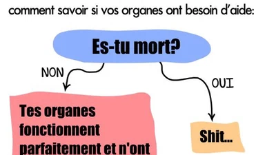 Quelle est l'explication physique, biologique et/ou chimique qui fait que l'application cutanée de l'huile d'épinette noire fonctionne pour régler les fonctions surrénales ? featured image