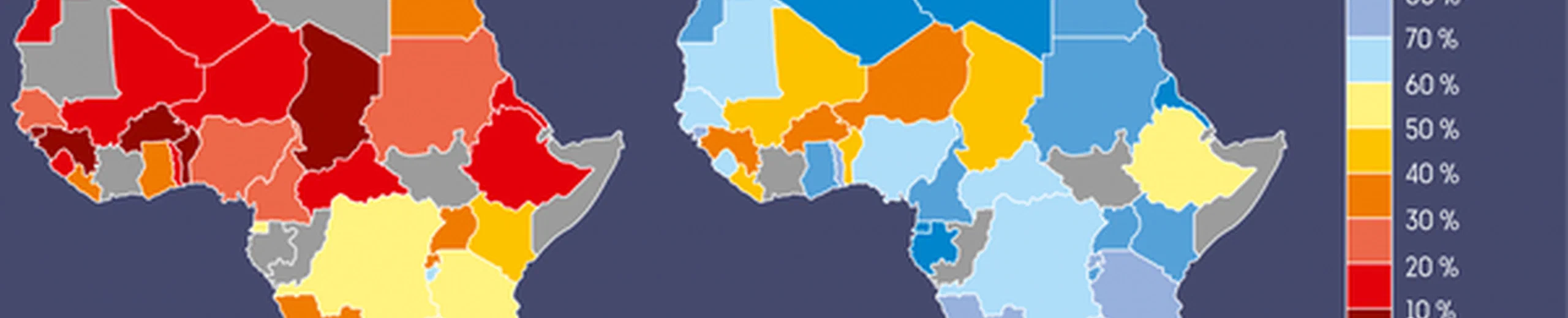 Qui peut élaboré une matrice de l'éducation en Afrique ?