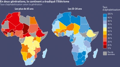 Qui peut élaboré une matrice de l'éducation en Afrique ? featured image