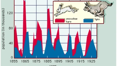 L Humanité va-t-elle disparaître par sa surpopulation ? Faut il que la moitié des humains disparaissent. featured image