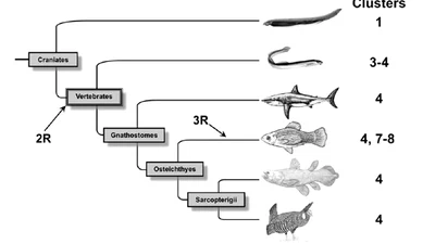 Y a-t-il eu un expériment scientifique démontrant que la vie non complexe peut donner naissance à des formes de vie plus complexes ? featured image