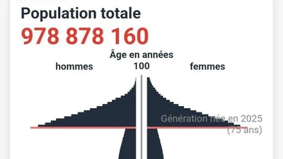 Si l'on supprimait 90% des naissances partout dans le monde d'ici 10 ans, cela solutionnerait-il le problème de l'immigration et les angoisses écologiques ? featured image