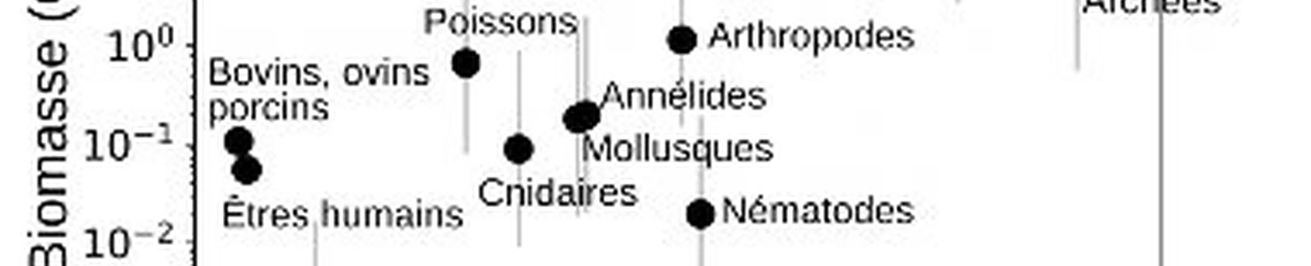 Pourquoi la Vie a commencé sous des formes très simples… et n'a cessé de se complexifier depuis ?