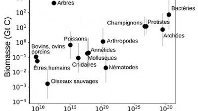 Pourquoi la Vie a commencé sous des formes très simples… et n'a cessé de se complexifier depuis ? featured image