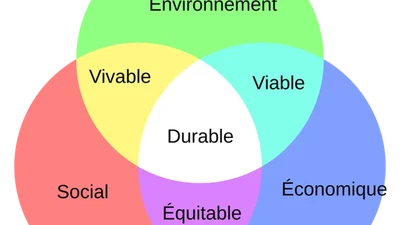 Un système durable est un système capable de transformer son expérience en connaissance, sans compromettre durablement son intégrité ni celle des milieux dont il dépend ? featured image