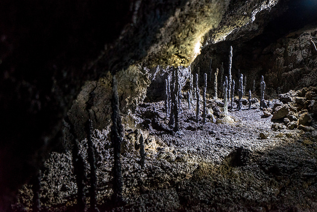 Photo CC Felix Haller sur Flickr